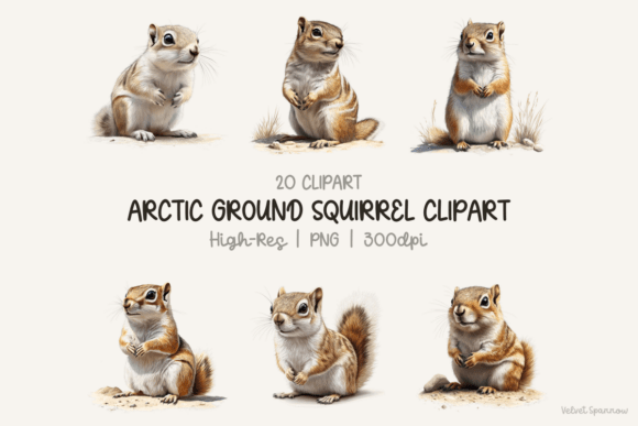 Arctic Ground Squirrel Clipart: A Versatile Resource for Digital and Print Design