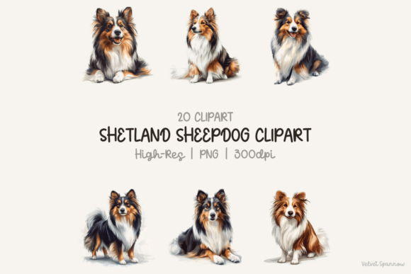 Shetland Sheepdog Clipart for Digital Creators