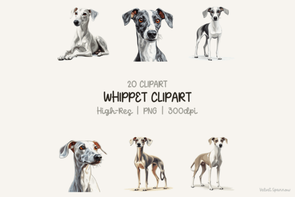 Unlocking Creative Potential: A Comprehensive Guide to Using Whippet Clipart in Digital and Print Design
