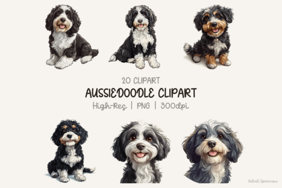 Unlocking Creativity with High-Resolution Aussiedoodle Clipart for Digital and Print Projects